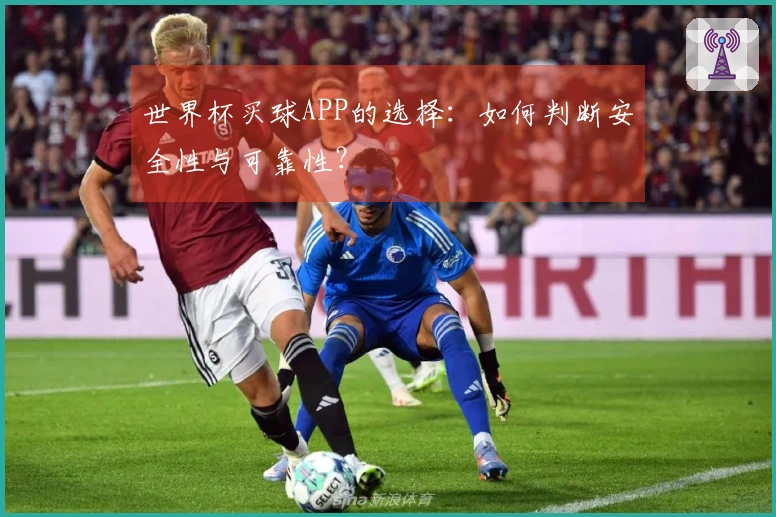 世界杯买球APP的选择：如何判断安全性与可靠性？
