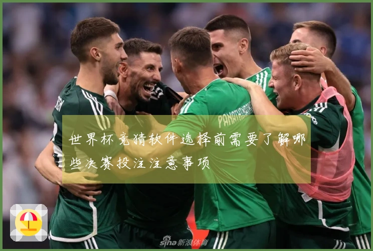 世界杯竞猜软件选择前需要了解哪些决赛投注注意事项