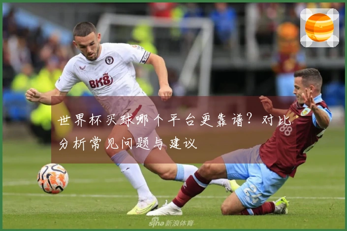 世界杯买球哪个平台更靠谱？对比分析常见问题与建议