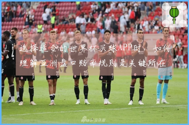 选择适合的世界杯买球APP时，如何理解亚洲盘口赔率规则是关键所在