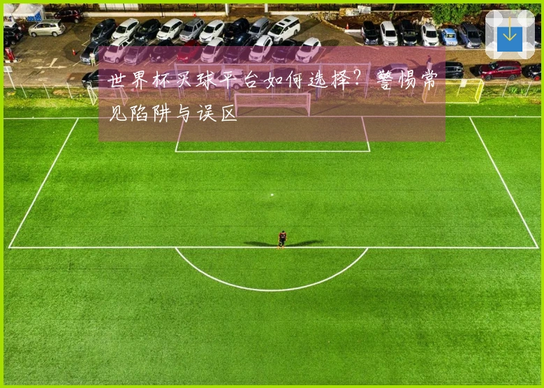 世界杯买球平台如何选择？警惕常见陷阱与误区