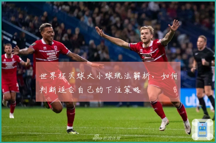 世界杯买球大小球玩法解析，如何判断适合自己的下注策略