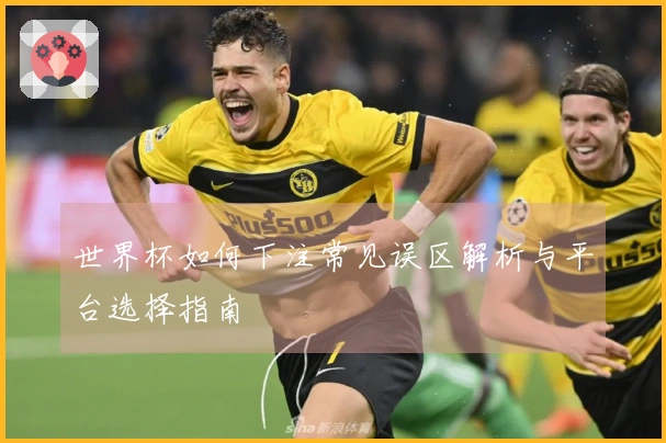 世界杯如何下注常见误区解析与平台选择指南