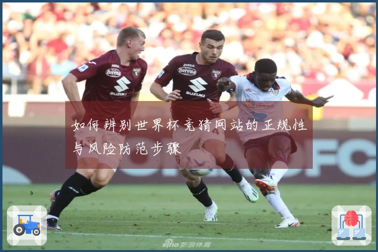 如何辨别世界杯竞猜网站的正规性与风险防范步骤
