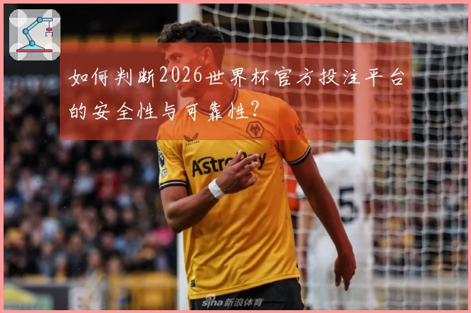 如何判断2026世界杯官方投注平台的安全性与可靠性？