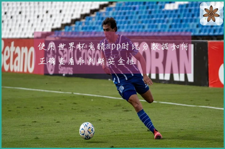 使用世界杯竞猜app时比分数据如何正确查看和判断安全性