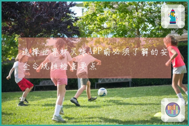 选择世界杯买球APP前必须了解的安全合规性检查要点