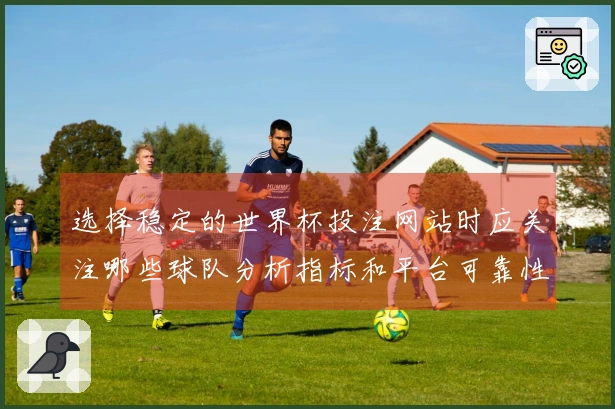 选择稳定的世界杯投注网站时应关注哪些球队分析指标和平台可靠性