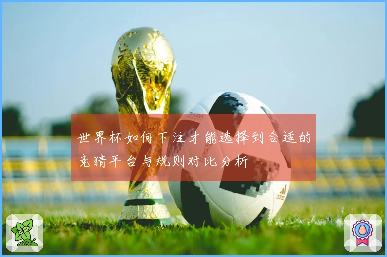 世界杯如何下注才能选择到合适的竞猜平台与规则对比分析
