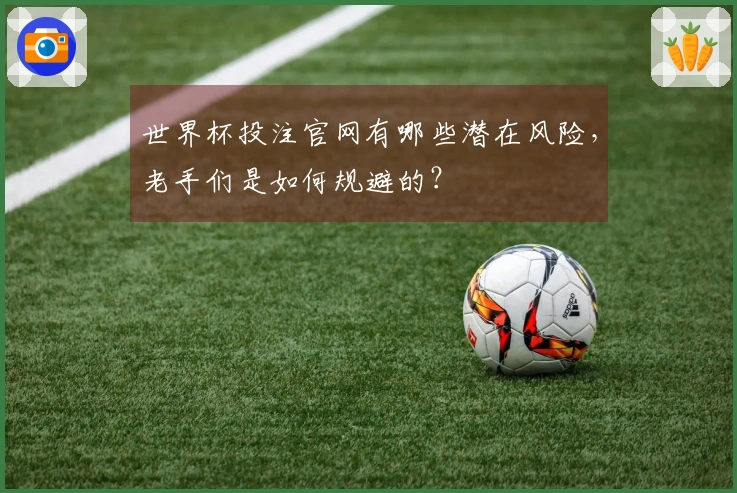 世界杯投注官网有哪些潜在风险，老手们是如何规避的？
