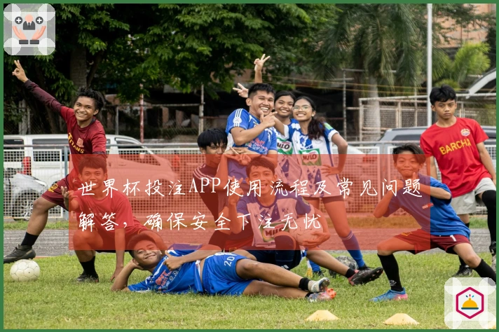 世界杯投注APP使用流程及常见问题解答，确保安全下注无忧