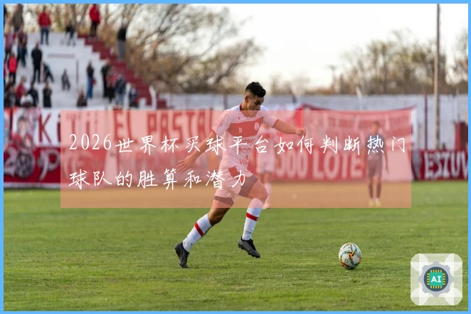 2026世界杯买球平台如何判断热门球队的胜算和潜力
