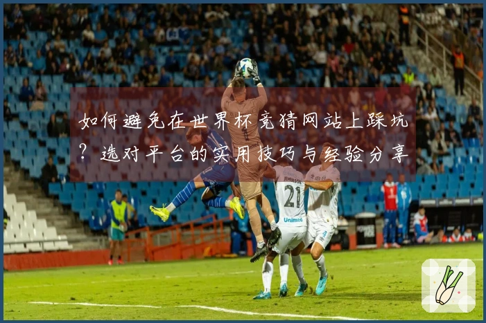 如何避免在世界杯竞猜网站上踩坑？选对平台的实用技巧与经验分享