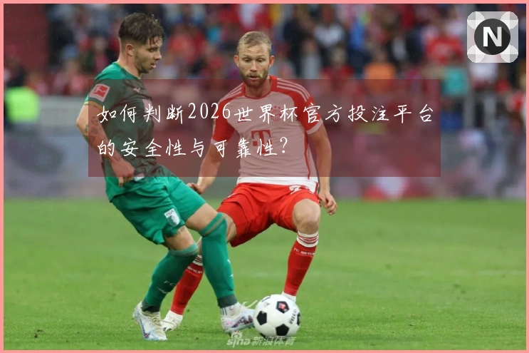 如何判断2026世界杯官方投注平台的安全性与可靠性？