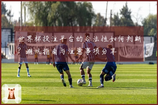 世界杯投注平台的合法性如何判断？避坑指南与注意事项分享