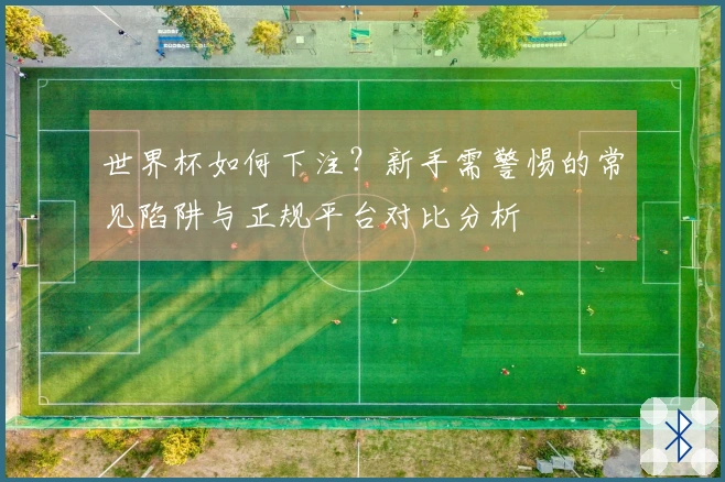 世界杯如何下注？新手需警惕的常见陷阱与正规平台对比分析