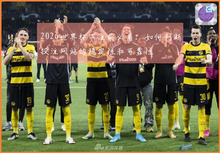 2026世界杯下注前必看：如何判断投注网站的稳定性和可靠性