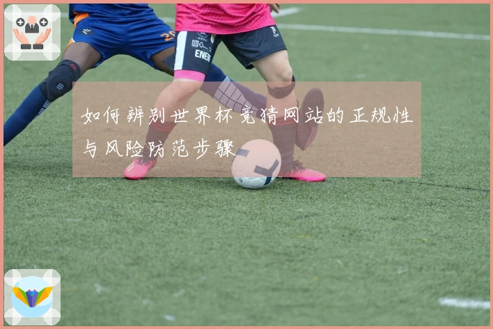 如何辨别世界杯竞猜网站的正规性与风险防范步骤