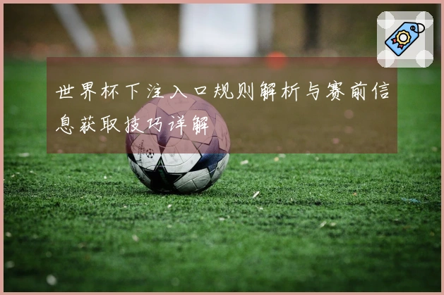 世界杯下注入口规则解析与赛前信息获取技巧详解