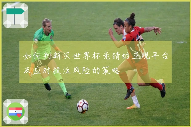 如何判断买世界杯竞猜的正规平台及应对投注风险的策略