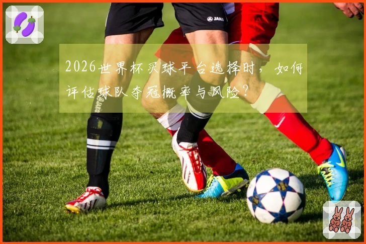 2026世界杯买球平台选择时，如何评估球队夺冠概率与风险？