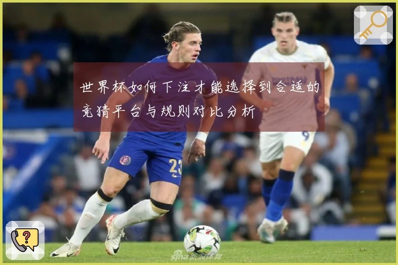 世界杯如何下注才能选择到合适的竞猜平台与规则对比分析