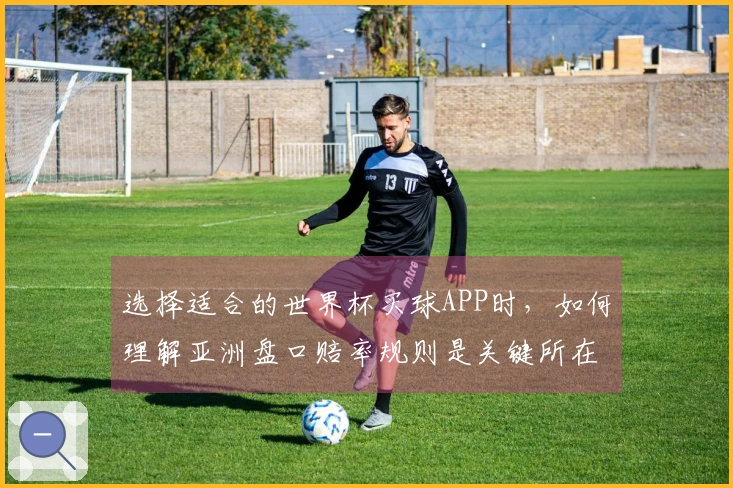 选择适合的世界杯买球APP时，如何理解亚洲盘口赔率规则是关键所在