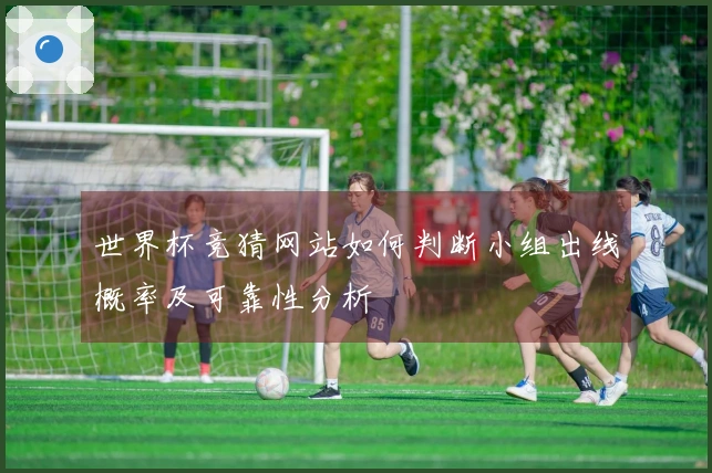 世界杯竞猜网站如何判断小组出线概率及可靠性分析
