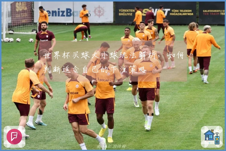 世界杯买球大小球玩法解析，如何判断适合自己的下注策略