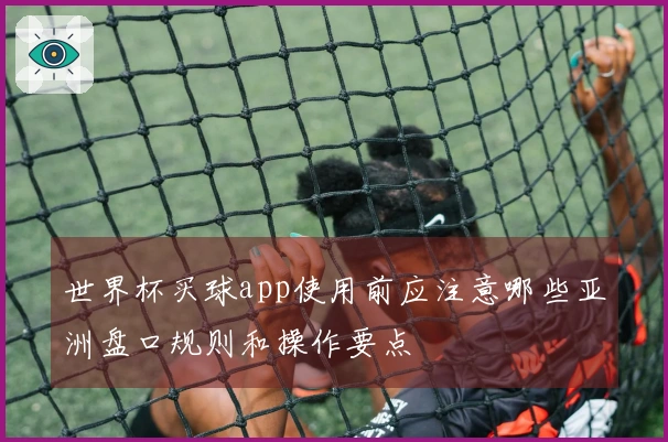世界杯买球app使用前应注意哪些亚洲盘口规则和操作要点