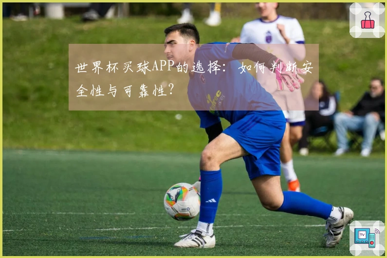 世界杯买球APP的选择：如何判断安全性与可靠性？