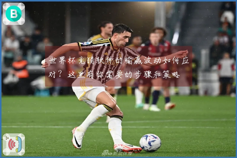 世界杯竞猜软件的输赢波动如何应对？这里有你需要的步骤和策略