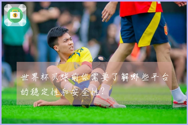 世界杯买球前你需要了解哪些平台的稳定性和安全性？