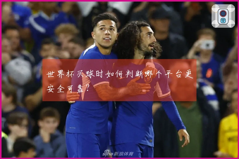 世界杯买球时如何判断哪个平台更安全可靠？