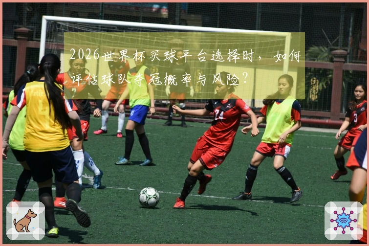 2026世界杯买球平台选择时，如何评估球队夺冠概率与风险？